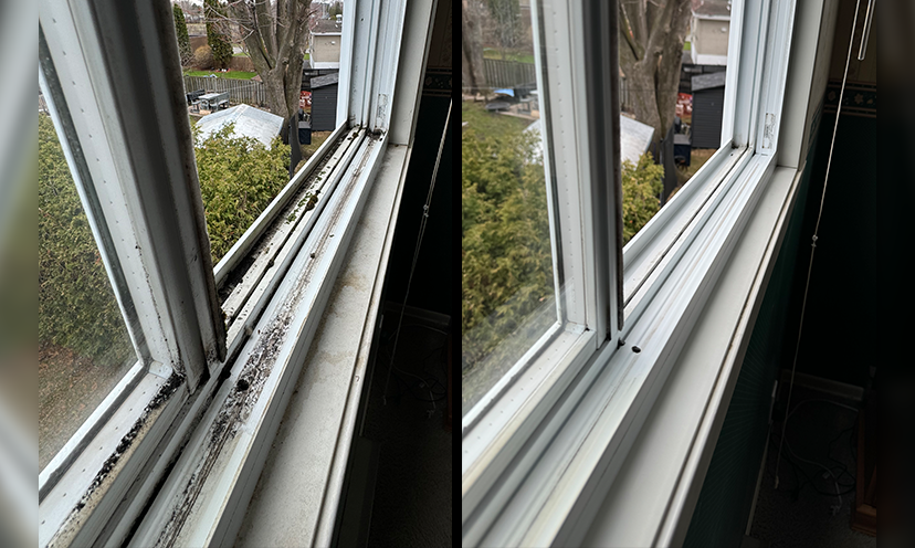 Residential Window Cleaning